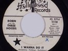 ROBIN AND THREE HOODS: I Wanna Do It US Hollywood Wisconsin Garage Rock 45 HEAR