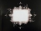 Tool 2LP Vinyl - Aenima