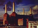 Pink Floyd - Animals 190295996963 (Vinyl Used Very Good)