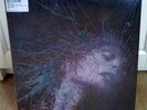 Devil Sold His Soul A Fragile Hope NEW Blue Splatter Vinyl Record LP OOP Rare