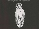 Trampled By Turtles - Palomino LP NEW