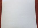 BEATLES WHITE ALBUM NM 1980’s FINAL ANALOGUE VINYL INDENT RING LOOK