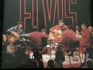 Elvis Presley - The King In The Ring (NEW 2 VINYL LP)