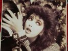 KATE BUSH the dreaming LP original EMI AMERICA pressing 1982   rare
