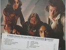 FLAMIN' GROOVIES Flamingo 1970 US ORG PROMO LP Munty  GARAGE Punk ROY LONEY