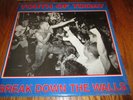 Youth Of Today ?VINYL LP Break Down The Walls 1ST PRESS W/ INSERT HARDCORE 1986
