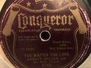 ARNETT NELSON CONQUEROR 8765 BLUES 78 RPM V- CASEY BILL, BROONZY, BLACK BOB