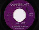 Garage 45 - N. Patrick Williams - Bad Seed - Confederate - mp3