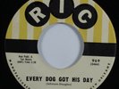 R&B Rocker 45 EDDIE BO Every Dog Got His Day RIC VG+ HEAR