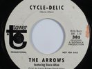 Garage Psych 45 ARROWS Cycle-Delic TOWER promo HEAR