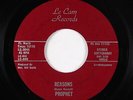 Psych 45 - Prophet - Reasons - Le Cam - VG++ mp3
