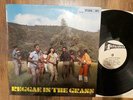 VARIOUS Reggae In The Grass LP Studio One UK Roy Richards Dimensions Val Bennett