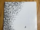 Wilco - Sky Blue Sky - Double LP