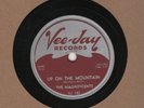 Record: (78 rpm)  The Magnificents  