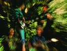 CREEDENCE CLEARWATER REVIVAL 