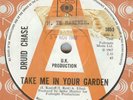 DRUID CHASE**TAKE ME IN YOUR GARDEN**DEMO**PSYCH**HEAR IT