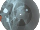 MICHAEL JAKSON - ROCKIN ROBIN - USSR GEORGIAN UNIQUE X-RAY BONES RECORD