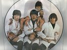 The Beatles Casualties Album Picture Disc Record - GREAT