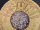 RAY HARRIS SUN SAMPLE 272