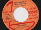 The THORNS * Protector * 1968 NORTHERN SOUL PSYCH * Belgian 45 * Listen