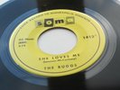 THE BUGGS  ORIG 1964 USA 45  SHE LOVES  YOU EXCELLENT   BUGGS VS  BEATLES