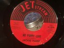 JACKIE PAINE 45 No Puppy Love TEXAS NORTHERN SOUL on JETSTREAM Jet Stream