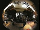 NEIL YOUNG & CRAZY HORSE, RAGGED GLORY  COLORED VINYL LP NEW IMPORT