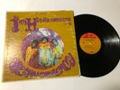 The Jimi Hendrix Are You Experienced Rock Record lp original vinyl album