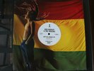 Bob Marley & The Wailers - Get Up, Stand Up (Mega Scarce 2 TRK Promo 12