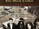 The Black Crowes - The Southern Harmony And Musical Companion [VINYL]