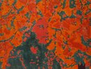 MALACHI HOLY MUSIC ORIGINAL GATEFOLD VERVE/TRIDENT PSYCH DRONE VINYL NEAR MINT