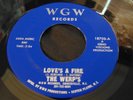 WERPS love's a fire 45 garage rock psych BFTG 1967