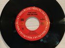 Dixie Chicks Long Time Gone / Landslide 45 RPM Vinyl VG+