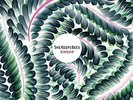 She Keeps Bees-Kinship VINYL NEW