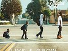 Casey Veggies: Live & Grow (2LPs: 1 Green 1 Orange)