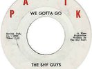 The Shy Guys We Gotta Go VG Original Press Panik 45 RPM Record 1966 Garage Rock