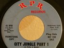 Garage Psych PROMO 45 The Beautiful Daze City Jungle on RPR HEAR