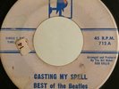 Garage Mod 45 Peter Best of The Beatles Casting My Spell on Mr Maestro HEAR
