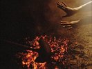 Half Moon Run - Dark Eyes