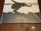 Eddie Vedder Into The Wild 12” Vinyl LP OOP Rare Pearl Jam MINT