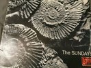 THE SUNDAYS -  'READING WRITING & ARITHMETIC' Vinyl LP (Rough Trade)