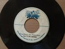 Touching The President - Tall T & The Touchers  7’ VG+