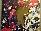 PINK FLOYD The Piper At The Gates Of Dawn mono psych lp 2018 RSD slipcase cover