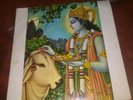Rare Picture Sleeve - Radha Krishna Temple - Govinda  Apple 25 A1/B1 VGC