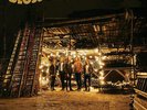 Blossoms - Blossoms