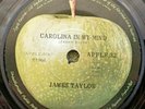 JAMES TAYLOR  NZ Apple 7