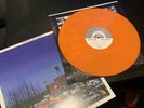 Shed [orange Vinyl] * [LP] by Title Fight (Vinyl, May-2011, Side One Dummy)