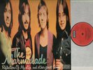    The Marmalade - Reflections Of My Life   