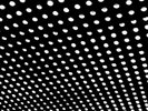 Beach House - Bloom - 2lp White Vinyl Open OOP