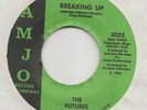 SWEET  SOUL -- FUTURES  -- BREAKING UP